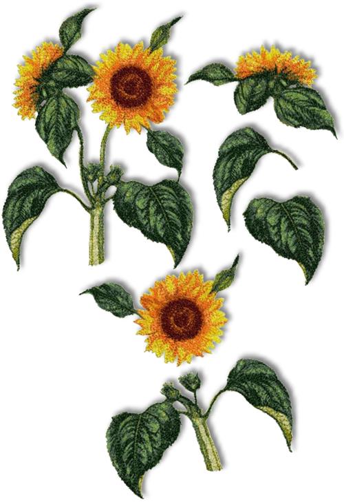 Advanced Embroidery Designs Sunflower Set