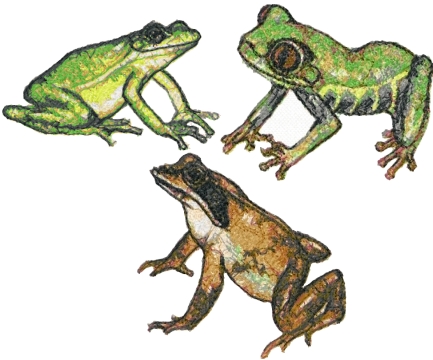 Download Advanced Embroidery Designs - Frog Set
