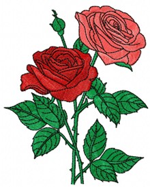 Two Roses Machine Embroidery Design