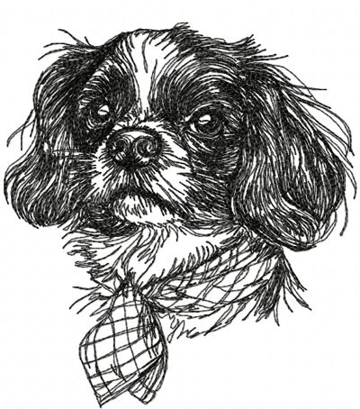 English Toy Spaniel