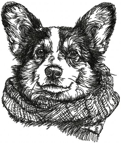 Cardigan Welsh Corgi