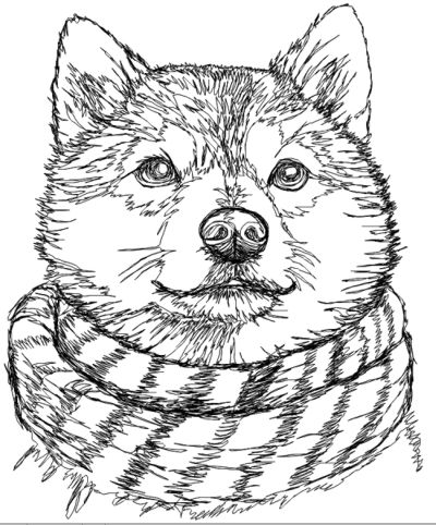 Shiba Inu in a Scarf