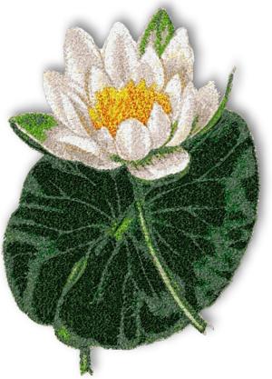 Vintage Lily Flower Machine Embroidery Design