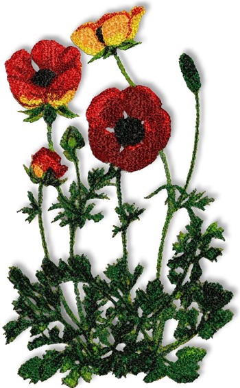 Advanced Embroidery Designs - Poppies